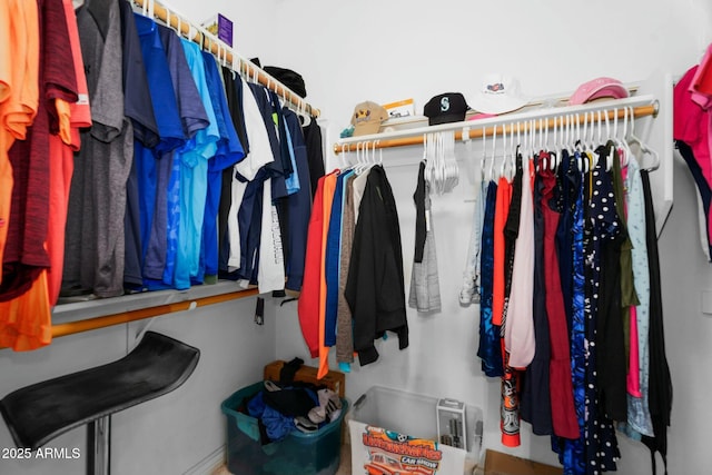 view of spacious closet