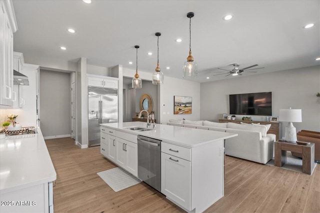 5860 E Sanford St, Mesa, AZ 85215 - kitchen featuring appliances with stainless steel finishes, light wood-type flooring, under cabinet range hood, ceiling fan, and a sink
