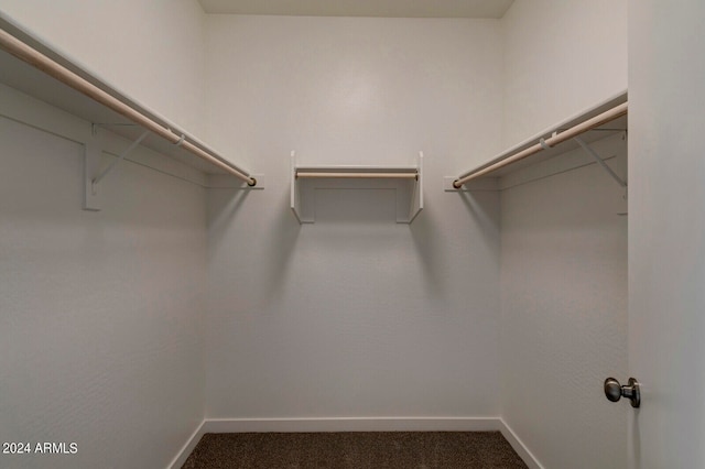 walk in closet featuring carpet flooring