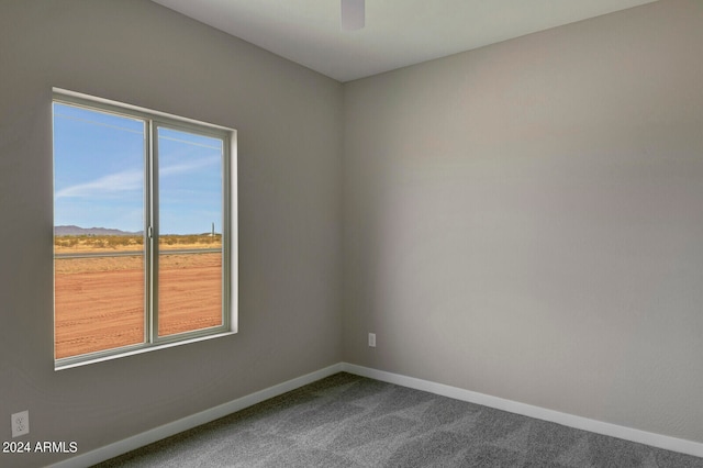 carpeted empty room with plenty of natural light