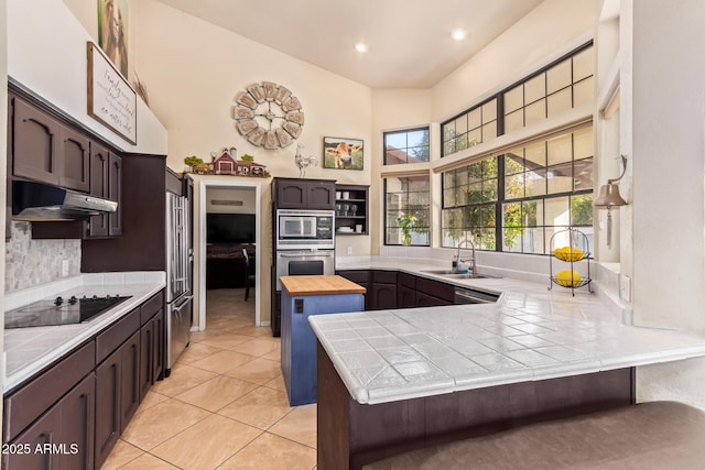 kitchen with kitchen peninsula, sink, stainless steel appliances, and dark brown cabinetry