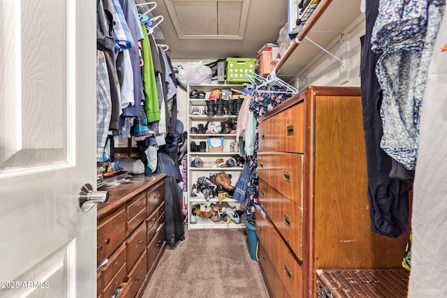 walk in closet with light colored carpet