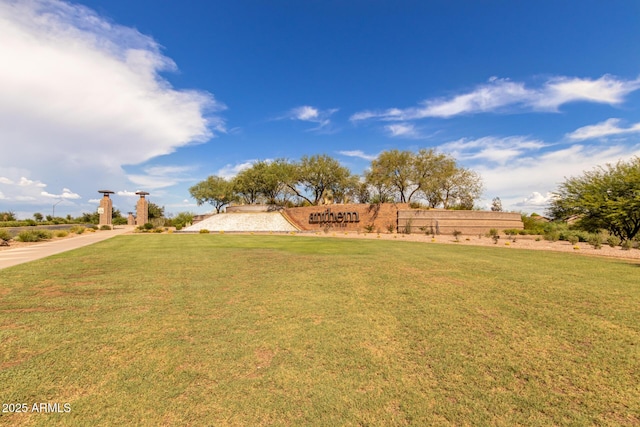 3937 N Smithsonian Dr, Florence, AZ 85132 - view of yard