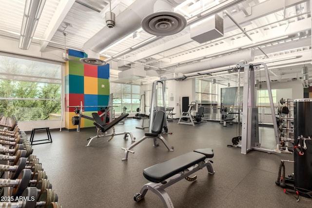 3937 N Smithsonian Dr, Florence, AZ 85132 - view of gym