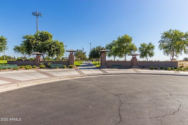 3937 N Smithsonian Dr, Florence, AZ 85132 - view of front of property