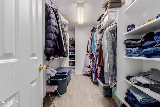 6276 N 75th Ln, Glendale, AZ 85303 - walk in closet featuring carpet
