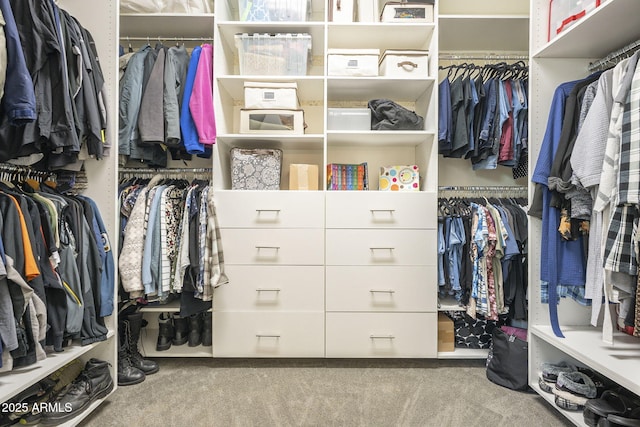 spacious closet with carpet