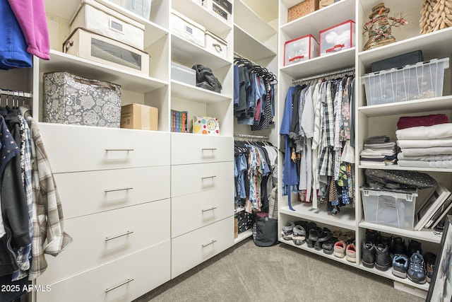 spacious closet featuring carpet