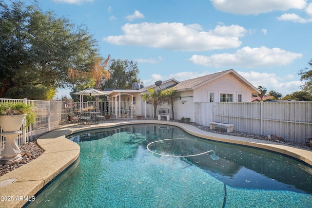 view of pool featuring a patio