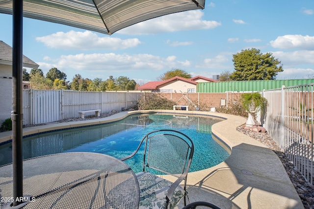 view of swimming pool