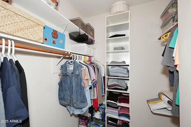 view of spacious closet