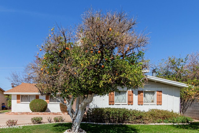 view of front of property featuring a front yard and brick siding