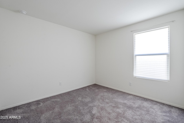 empty room featuring plenty of natural light and carpet floors