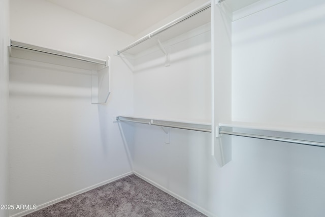 walk in closet with carpet