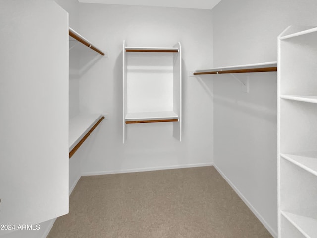 spacious closet featuring light colored carpet