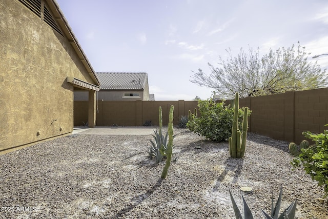 view of yard featuring a patio area