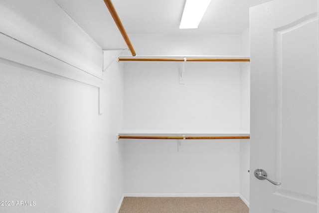 5252 W Pontiac Dr, Glendale, AZ 85308 - walk in closet featuring carpet