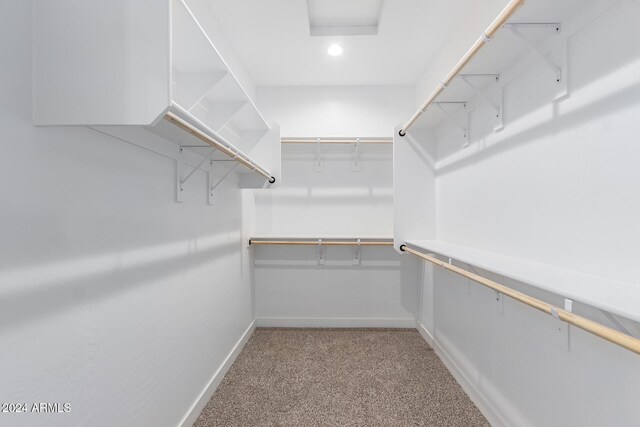 walk in closet with light carpet