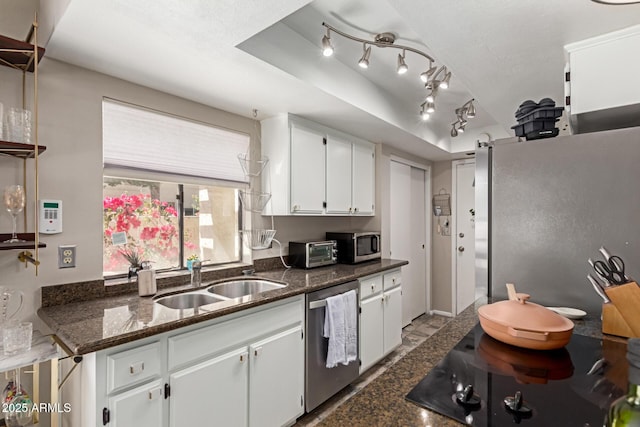 kitchen featuring white cabinets, a sink, a raised ceiling, stainless steel appliances, and a toaster
