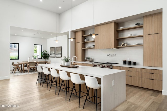 kitchen featuring open shelves, light wood-type flooring, and modern cabinets