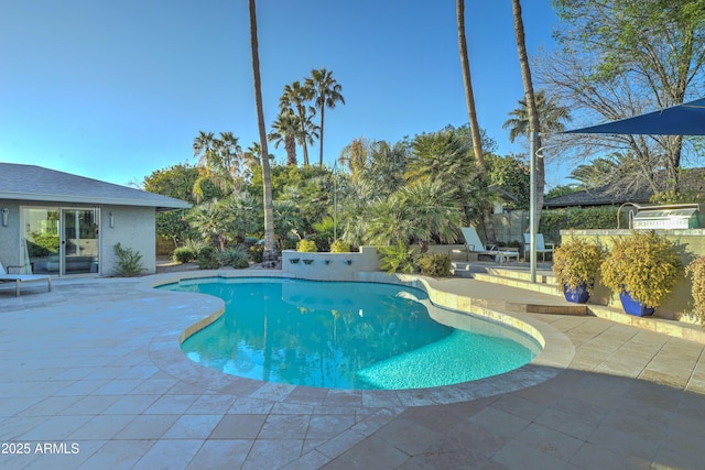 view of swimming pool with a patio area