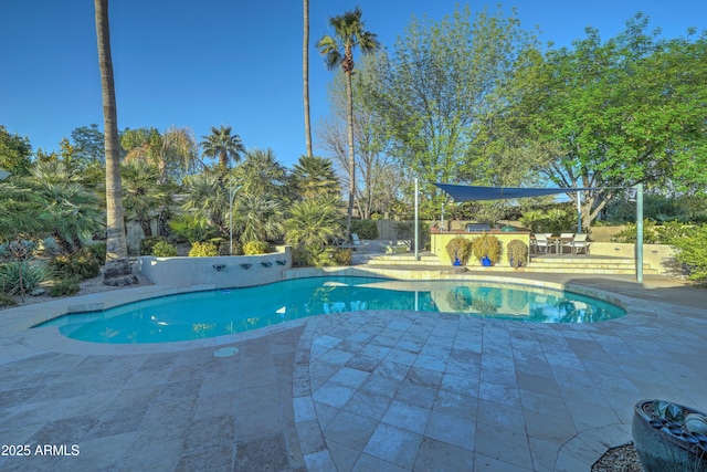 view of swimming pool with a patio and exterior bar