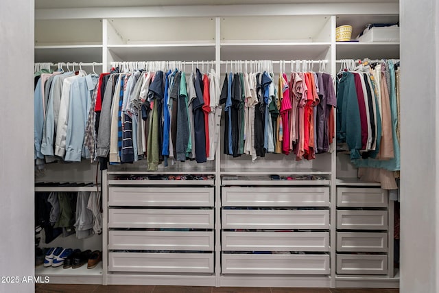 3047 S Mandy St, Mesa, AZ 85212 - view of closet