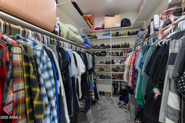 spacious closet featuring carpet flooring