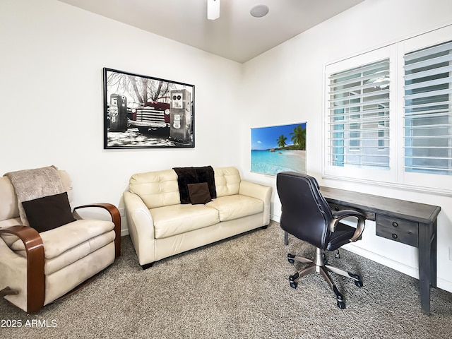 office space featuring carpet flooring