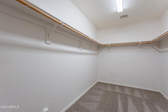 walk in closet featuring carpet flooring