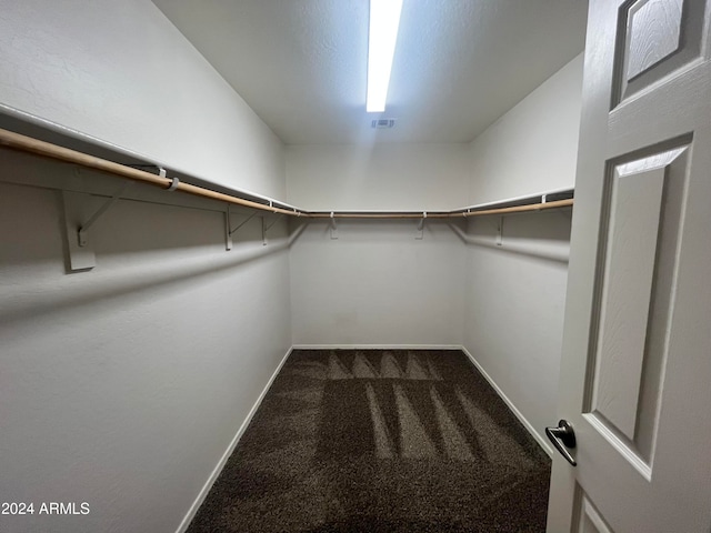 walk in closet featuring carpet