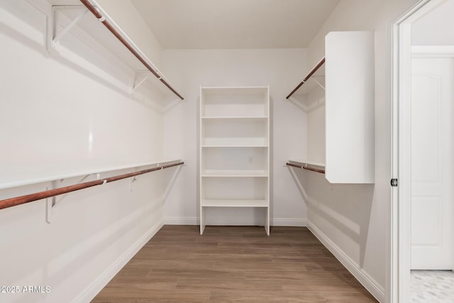 spacious closet with hardwood / wood-style floors