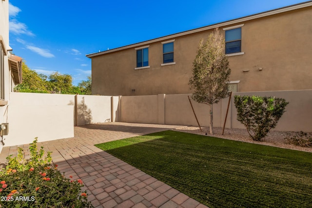 view of yard featuring a patio