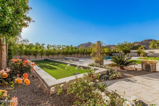 view of yard featuring a mountain view