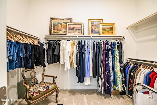 spacious closet featuring light carpet