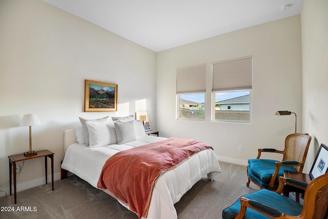 bedroom with carpet floors