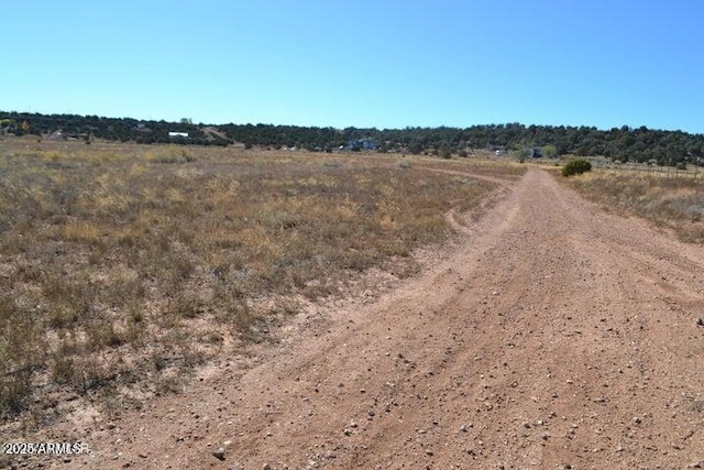 058P Bar Ditch Rd Unit 058P, Taylor AZ, 85939 land for sale