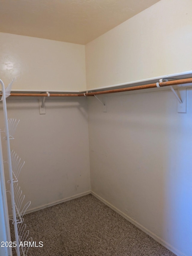 spacious closet with carpet flooring