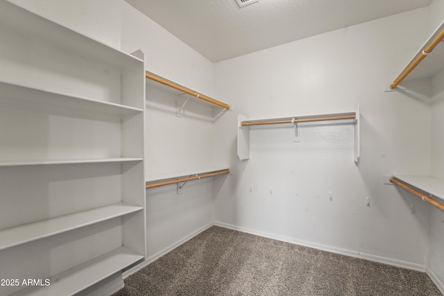 14430 W Windsor Ave, Goodyear, AZ 85395 - spacious closet with carpet floors