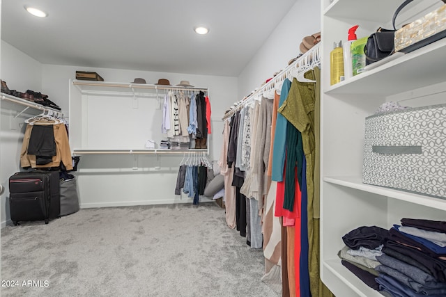 walk in closet featuring carpet floors