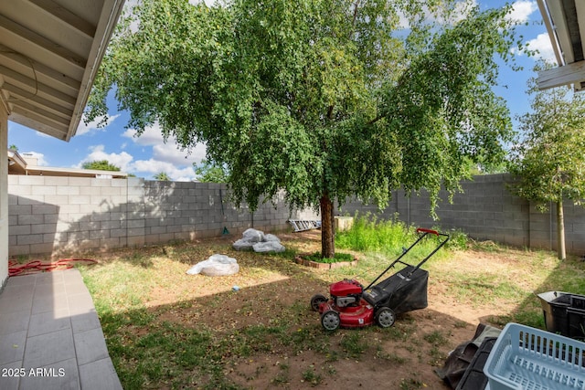 view of yard with a fenced backyard