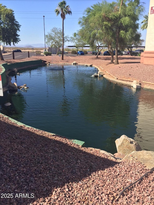 12123 W Bell Rd Unit 218, Surprise, AZ 85378 - water view