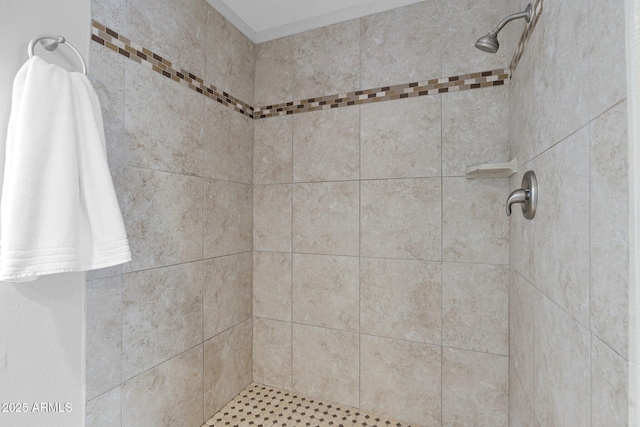 bathroom with a tile shower