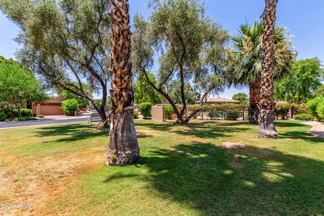 7955 E Chaparral Rd Unit 17, Scottsdale, AZ 85250 - view of grassy yard with a garage