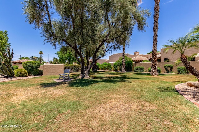 7955 E Chaparral Rd Unit 17, Scottsdale, AZ 85250 - view of yard