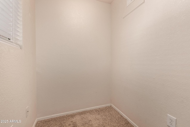 walk in closet with light colored carpet