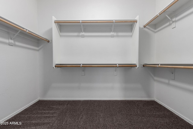 11505 W Boca Raton Rd, El Mirage, AZ 85335 - walk in closet featuring carpet flooring