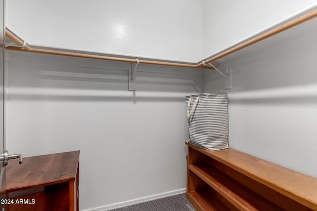 spacious closet with carpet