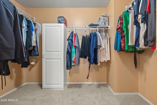 walk in closet with carpet floors