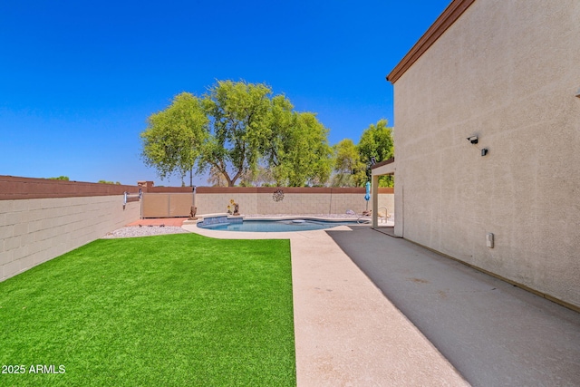 view of yard with a patio area